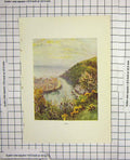 Original Old Antique Print Colour View Looe Ships Sea Flowers Cliffs 18th