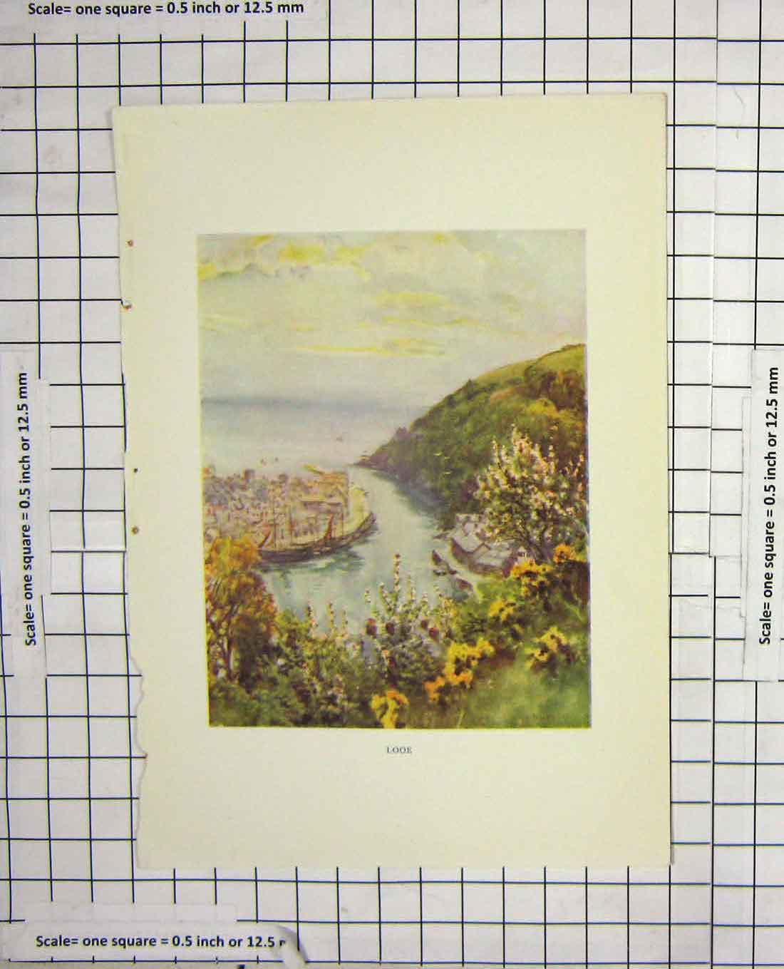 Original Old Antique Print Colour View Looe Ships Sea Flowers Cliffs 18th