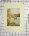 Original Old Antique Print Colour View Teme Trees Landscape 19th