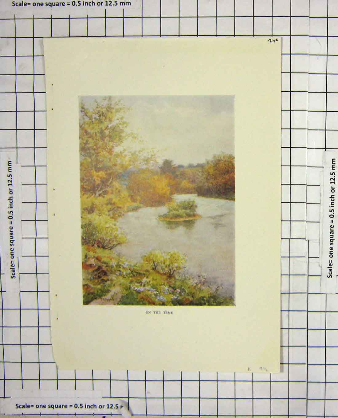 Original Old Antique Print Colour View Teme Trees Landscape 19th