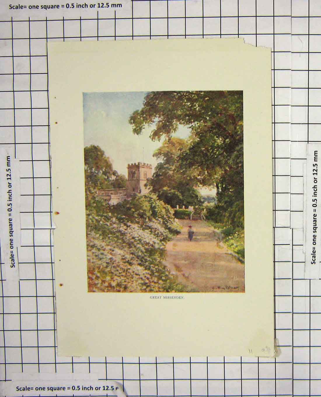 Original Old Antique Print Colour Great Missenden Church Trees Flowers 20th