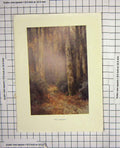 Original Old Antique Print Colour Countryside Trees Forest Nature Wood 20th