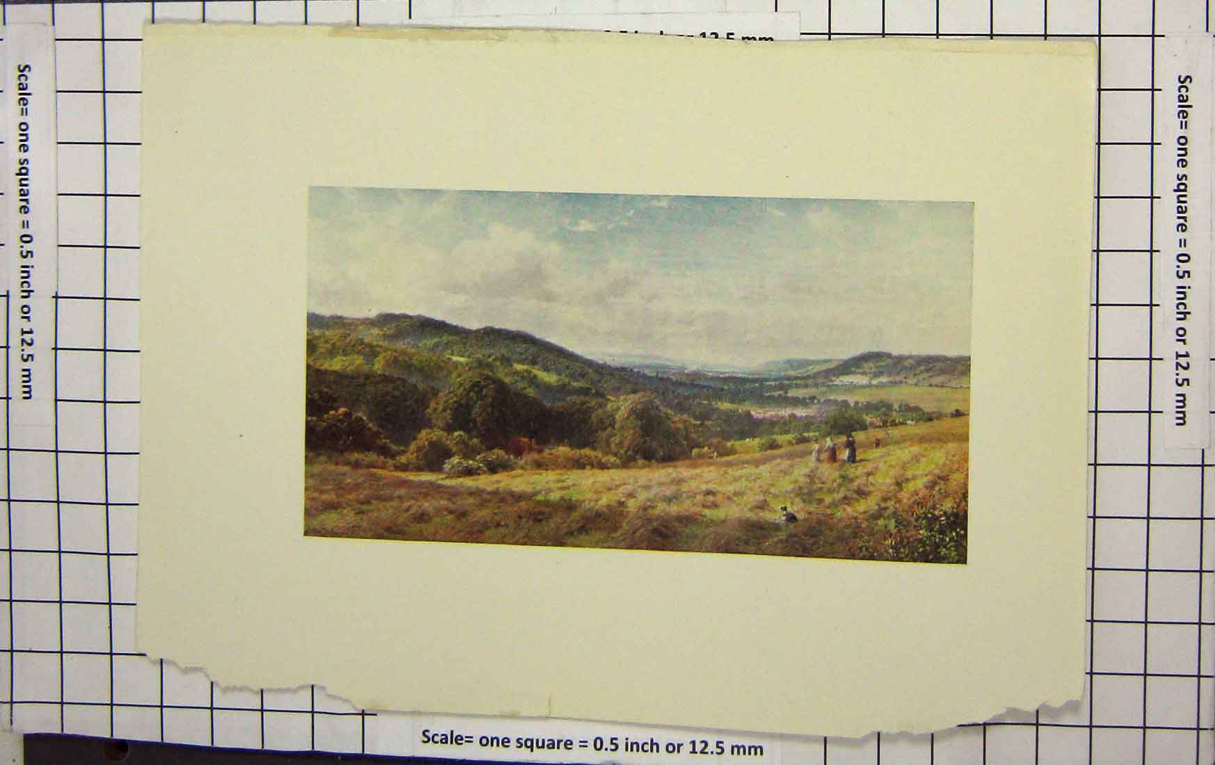 Original Old Antique Print Colour Vale Dorking Farming Haystacks