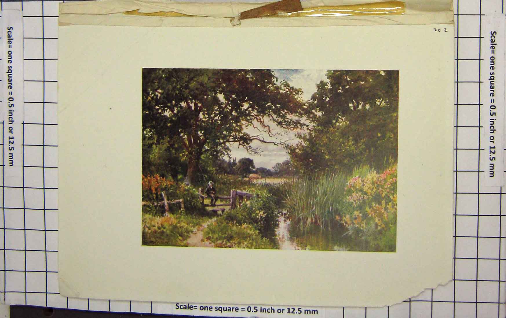 Original Old Antique Print Palmer Colour Man River Fishing Trees Flowers