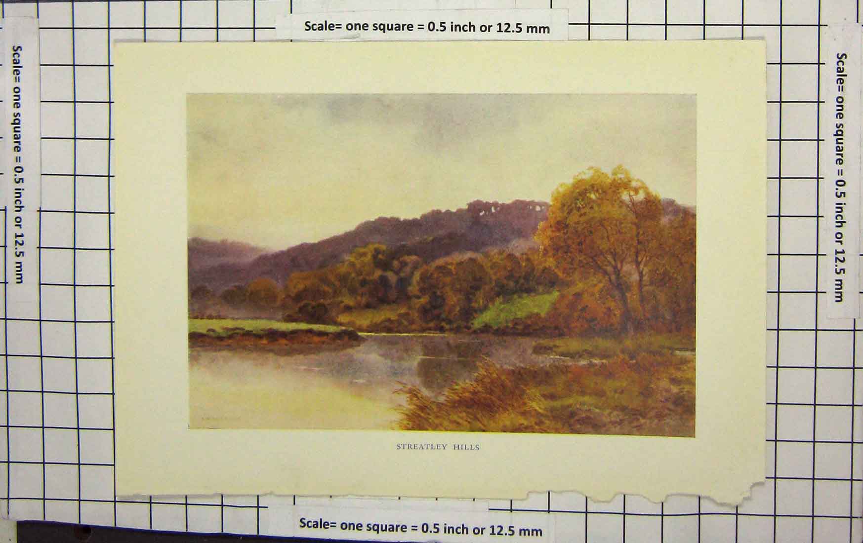 Original Old Antique Print Haslehust Colour View Streatley Hills Trees Lake