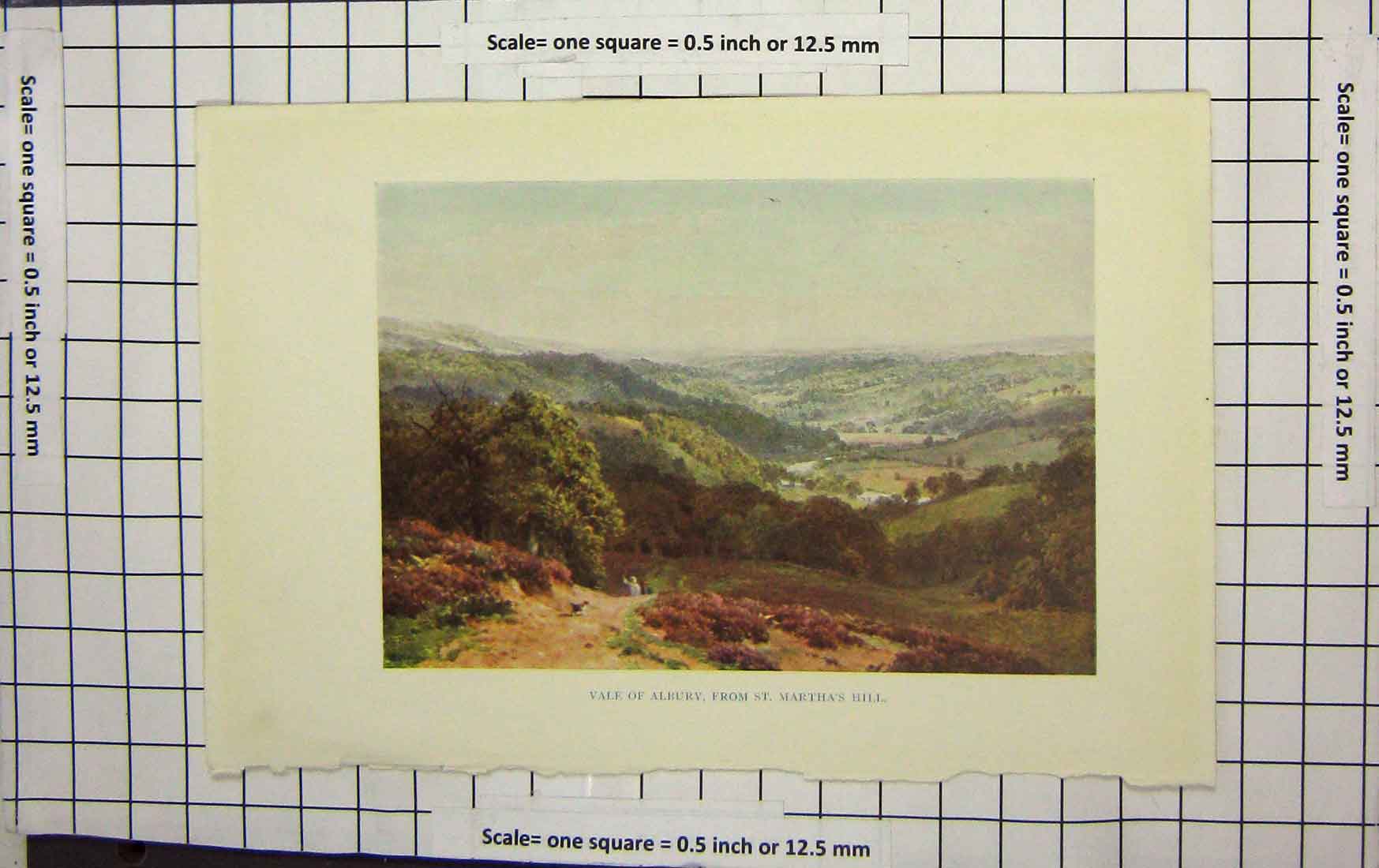 Original Old Antique Print Ref.900 Colour View Vale Albury St. Martha'S Hill