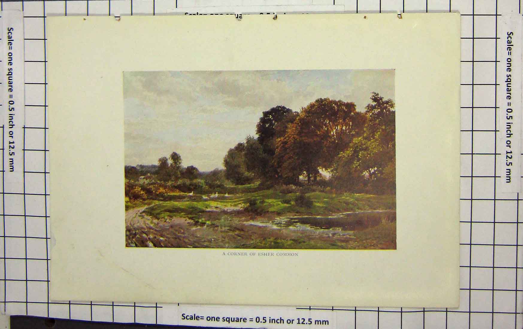 Original Old Antique Print Colour View Corner Esher Common Trees Lake
