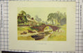 Original Old Antique Print Haslehust Colour Scene Lerryn River Bridge