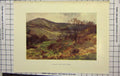 Original Old Antique Print Haslehust Colour Shanklin Down Mountains Trees