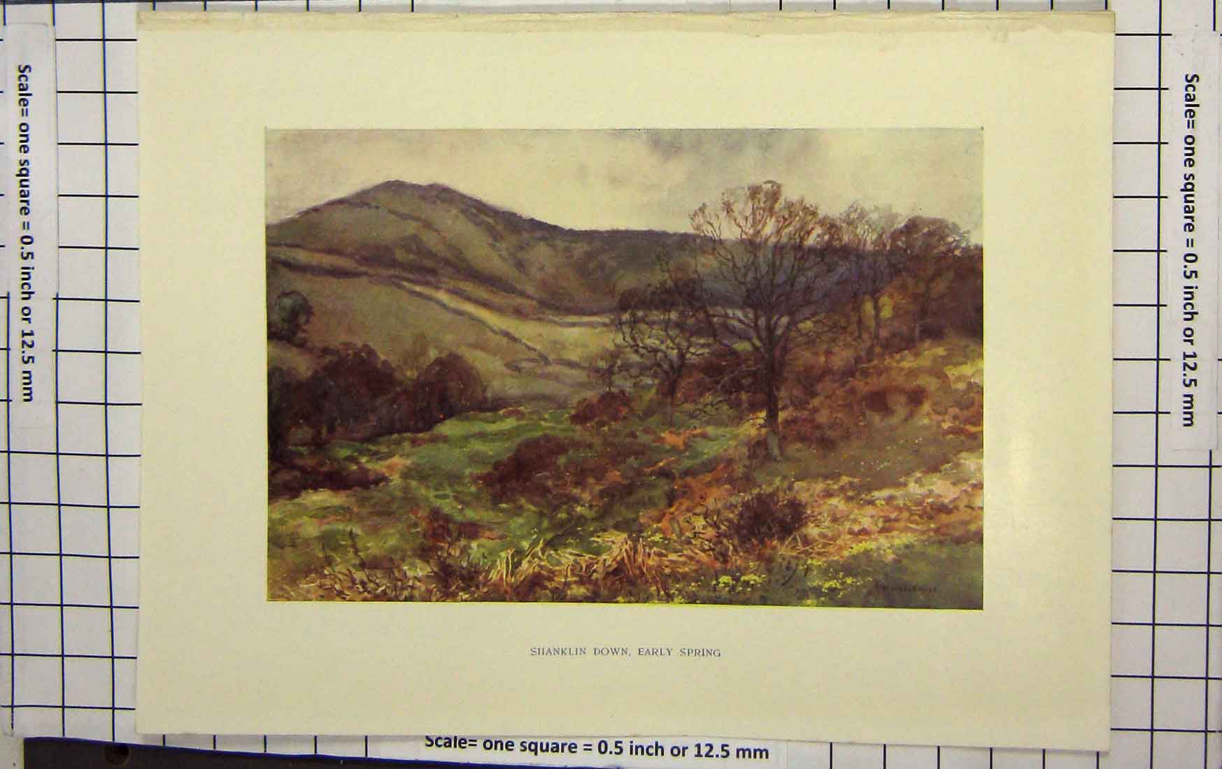 Original Old Antique Print Haslehust Colour Shanklin Down Mountains Trees