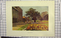Original Old Antique Print Haselhust Colour Buckingham Palace Long Walk