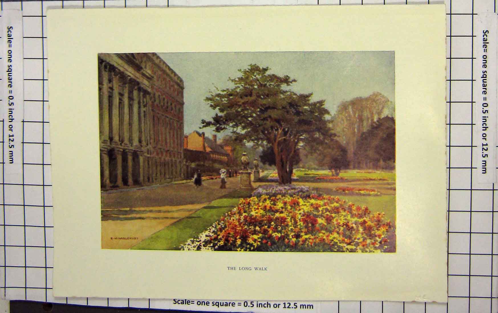 Original Old Antique Print Haselhust Colour Buckingham Palace Long Walk