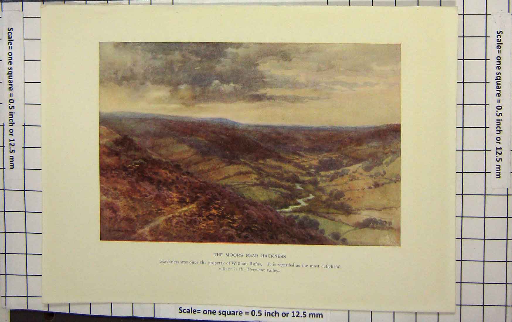 Original Old Antique Print Colour View Moors Hackness William Rufus Derwent