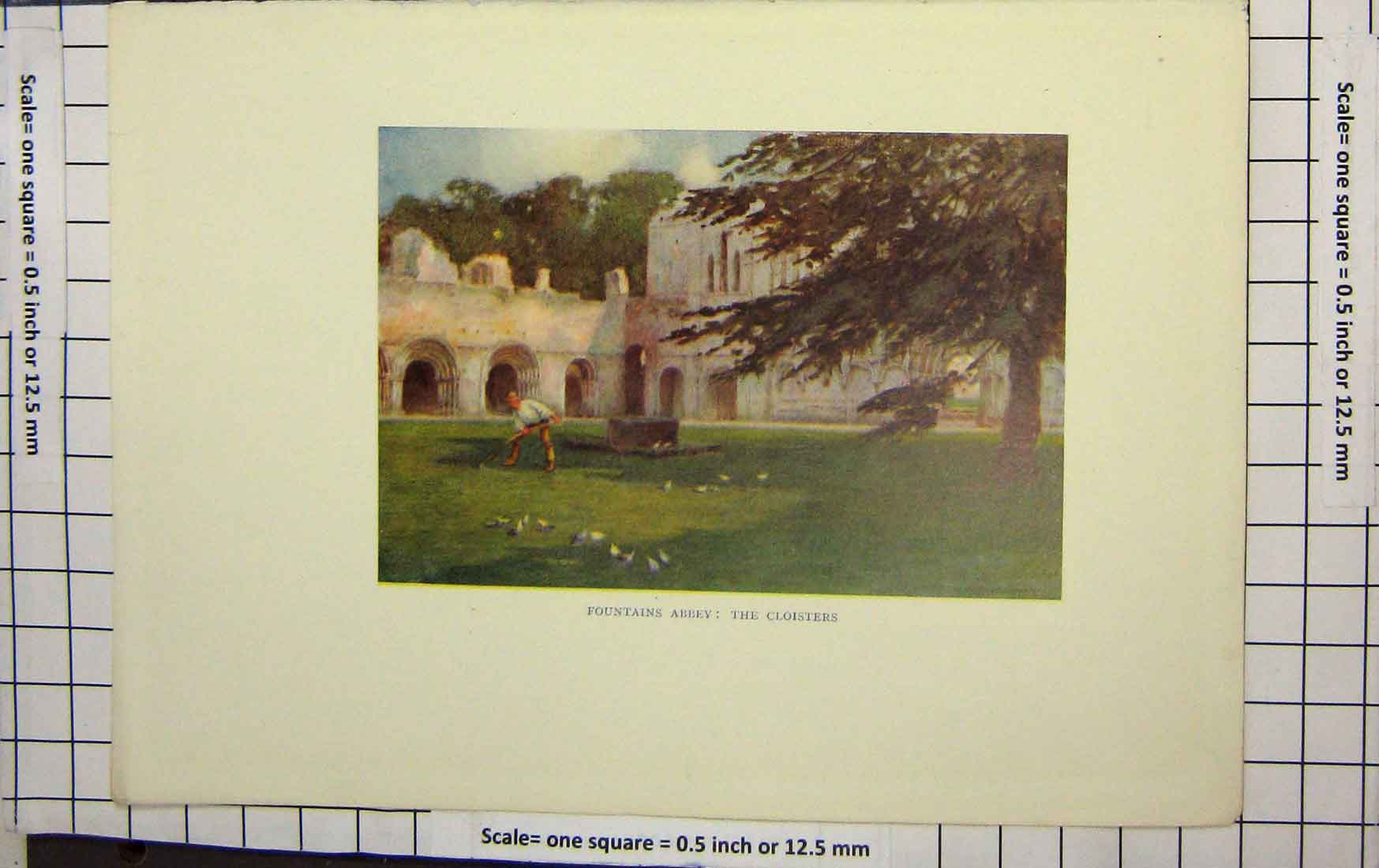 Original Old Antique Print Goble Colour Fountains Abbey Cloisters Gardener