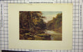 Original Old Antique Print Colour River Trees Woodland Nature