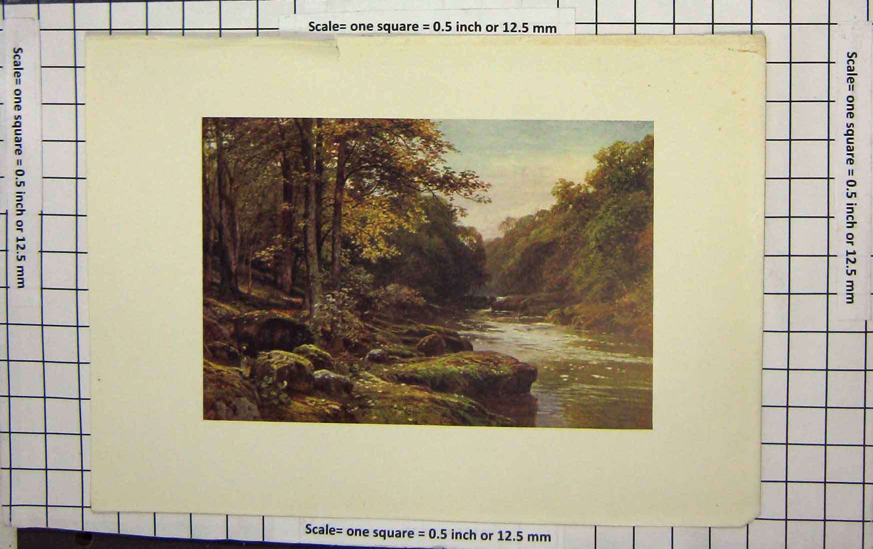 Original Old Antique Print Colour River Trees Woodland Nature