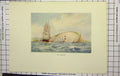 Original Old Antique Print Colour Scene Needles Sailing Ships Cliffs England