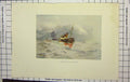 Original Old Antique Print Colour Stormy Sea Gale Lizard Point Ship Boat