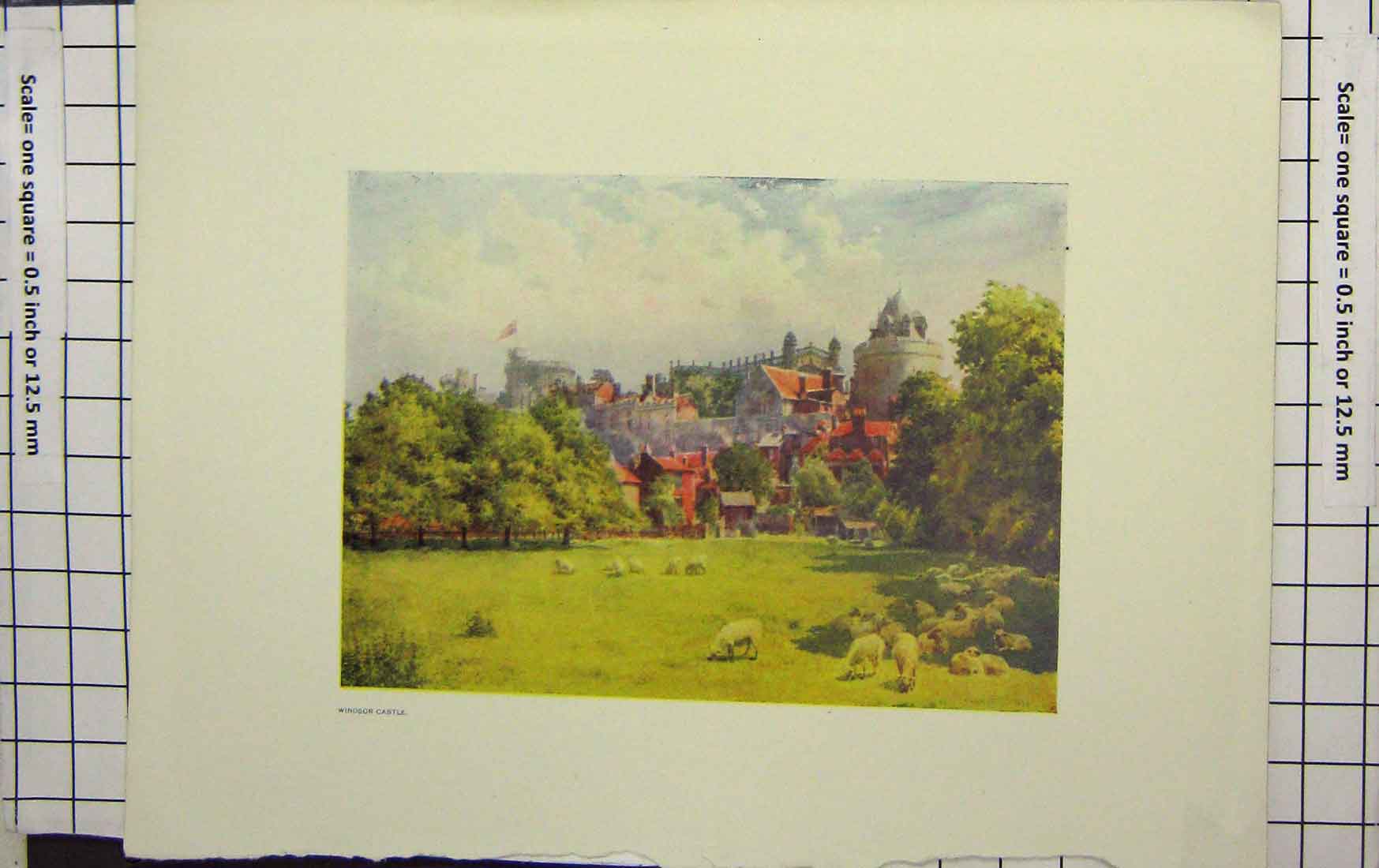 Original Old Antique Print Ref.902 Colour View Windsor Castle London England