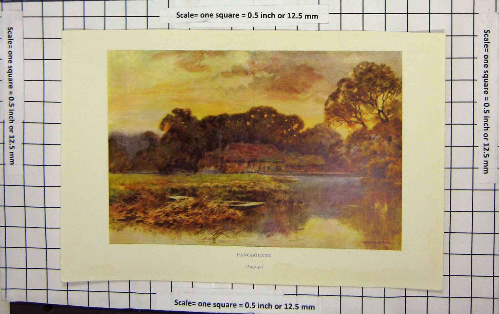 Original Old Antique Print Haslehust Colour View Pangbourne House Trees