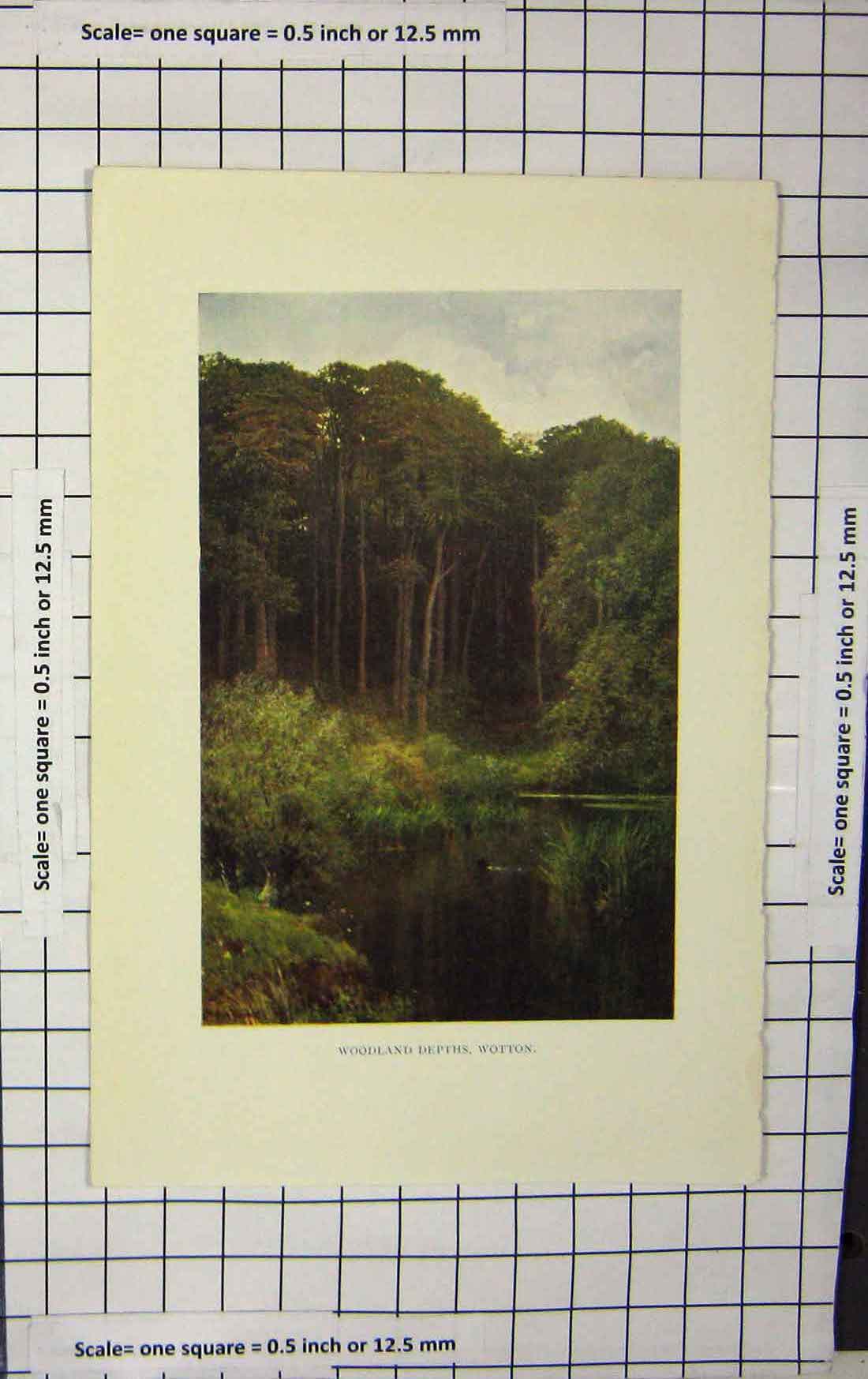 Original Old Antique Print Colour Woodland Depths Wotton River Trees