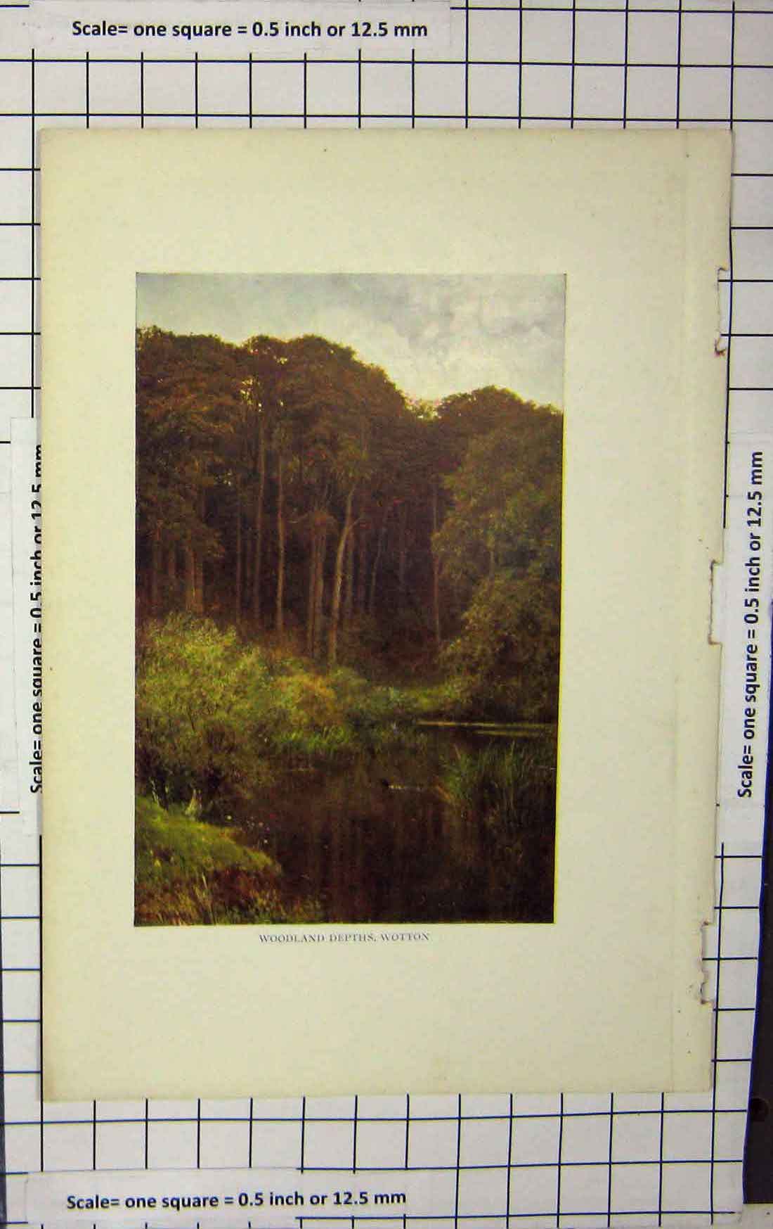 Original Old Antique Print Ref.908 Colour Woodland Depths Wotton River Trees