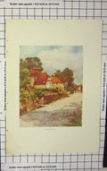 Original Old Antique Print Colour Street Scene Willingdon Houses 1904 20th