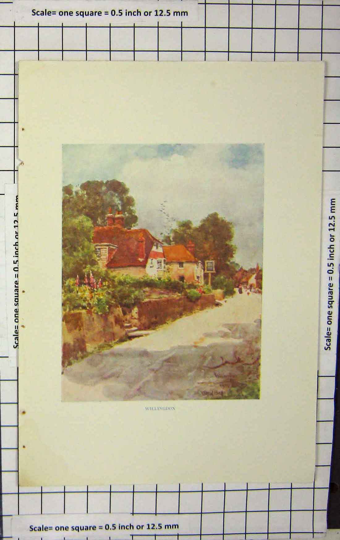 Original Old Antique Print Colour Street Scene Willingdon Houses 1904 20th