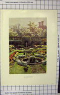 Original Old Antique Print Haslehust Colour View Pond Garden Flowers Trees
