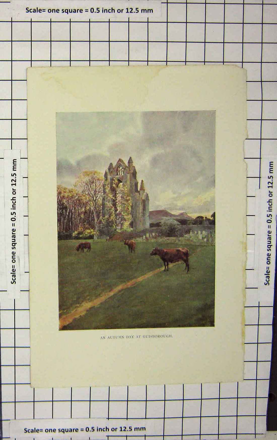 Original Old Antique Print Colour Scene Autumn Day Guisborough Cows 18th