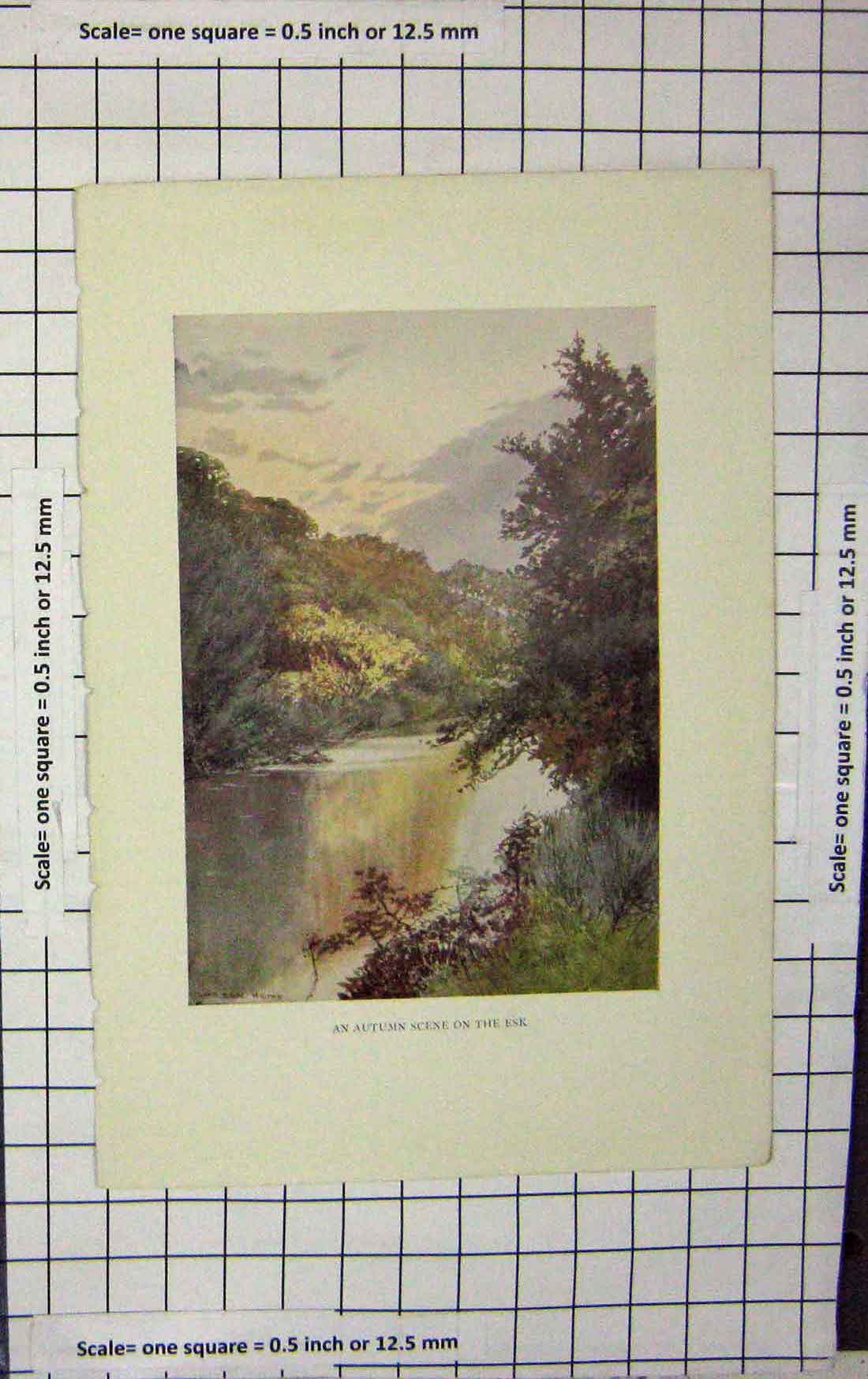 Original Old Antique Print Colour Sutumn Scene River Esk Trees Nature 19th