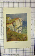 Original Old Antique Print 1904 Ball Colour Beachy Head Cliffs England 20th