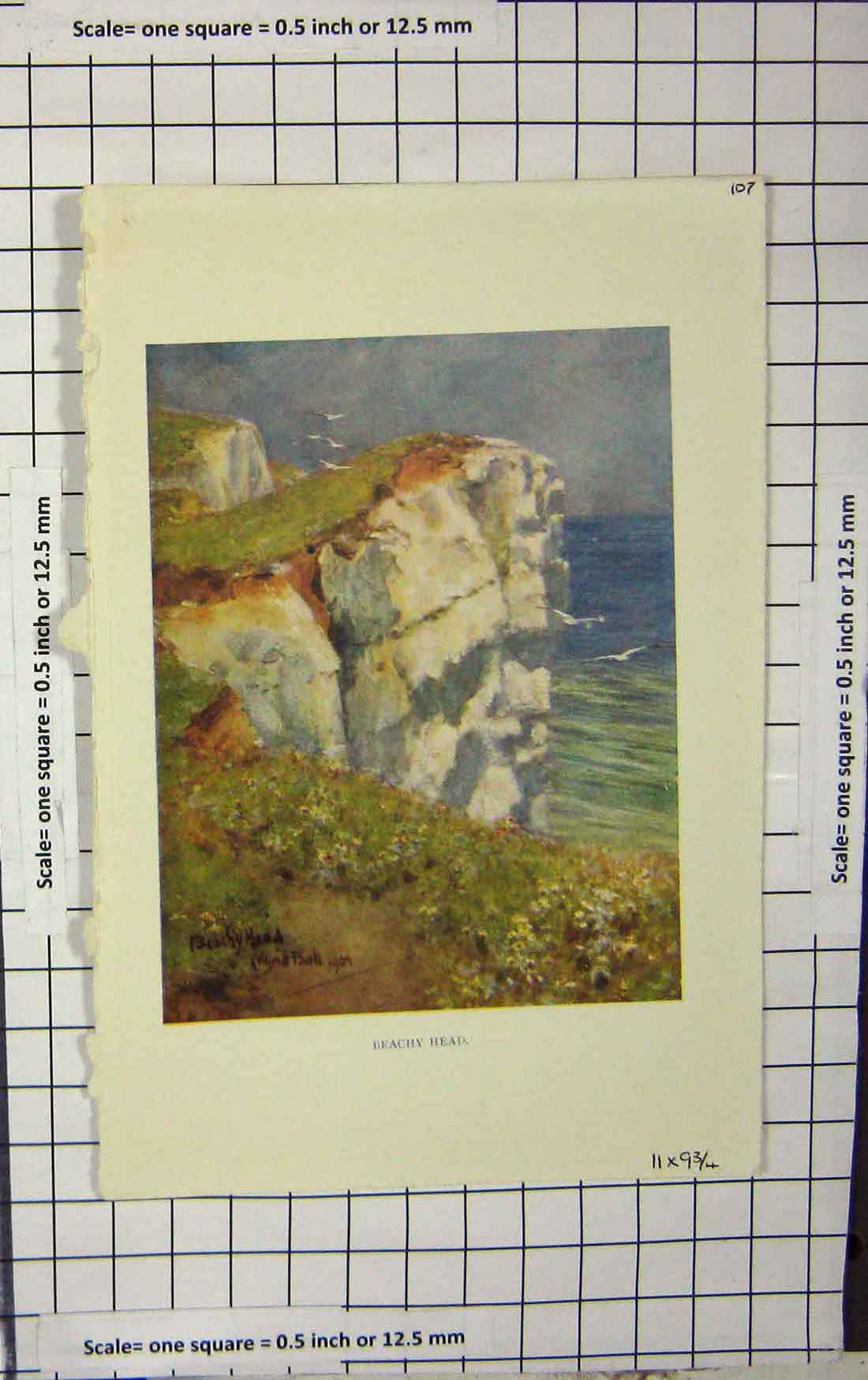 Original Old Antique Print 1904 Ball Colour Beachy Head Cliffs England 20th