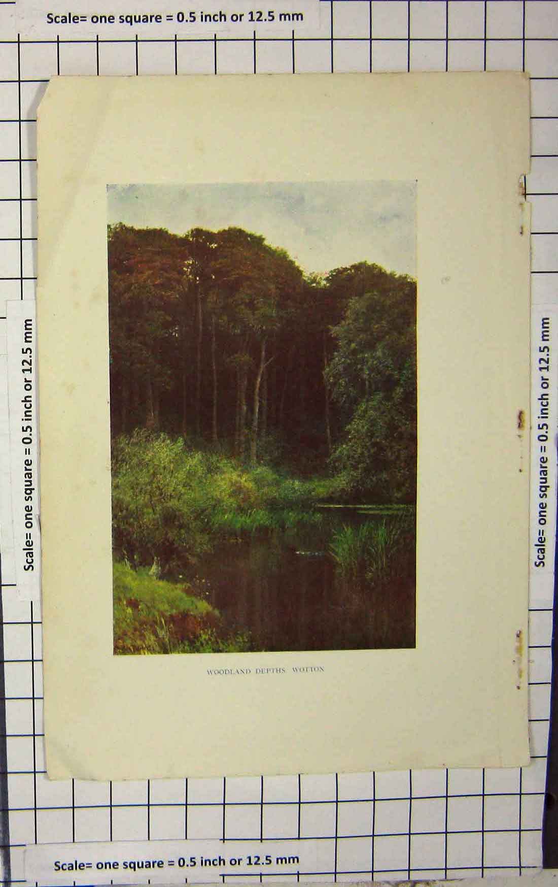 Original Old Antique Print Colour View Woodland Depths Wotton England Victorian