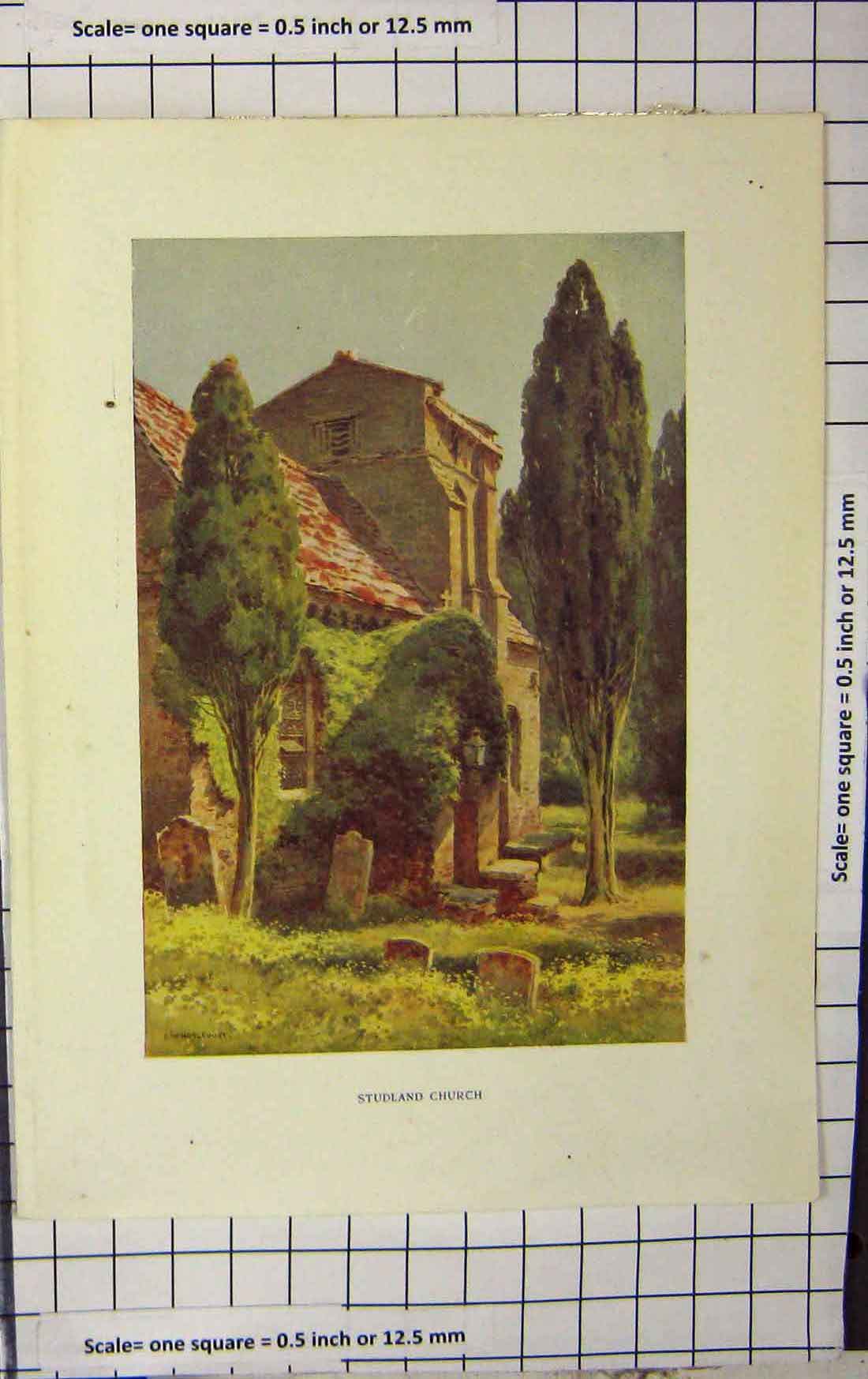 Original Old Antique Print Haslehust Colour Exterior Studland Church Graves