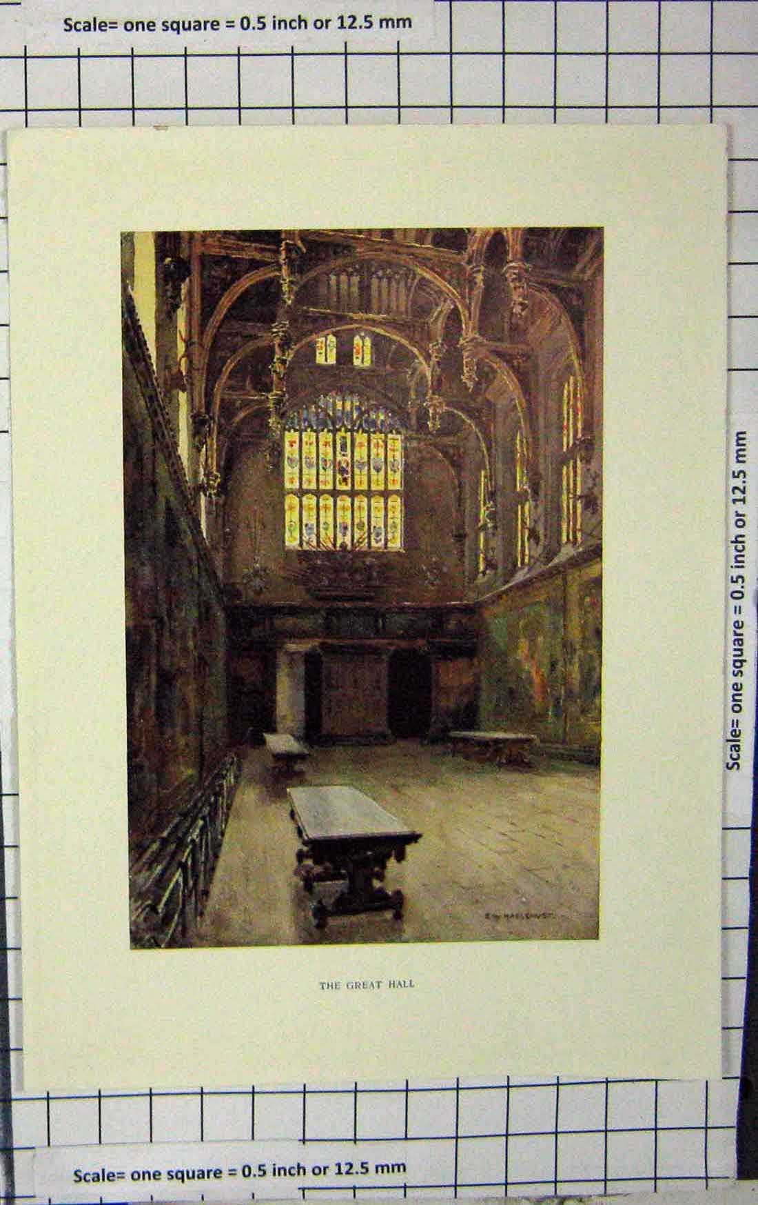 Original Old Antique Print Haslehust Colour Interior Great Hall Architecture