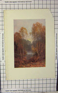 Original Old Antique Print Colour Trees Woodland River Nature 20th Century