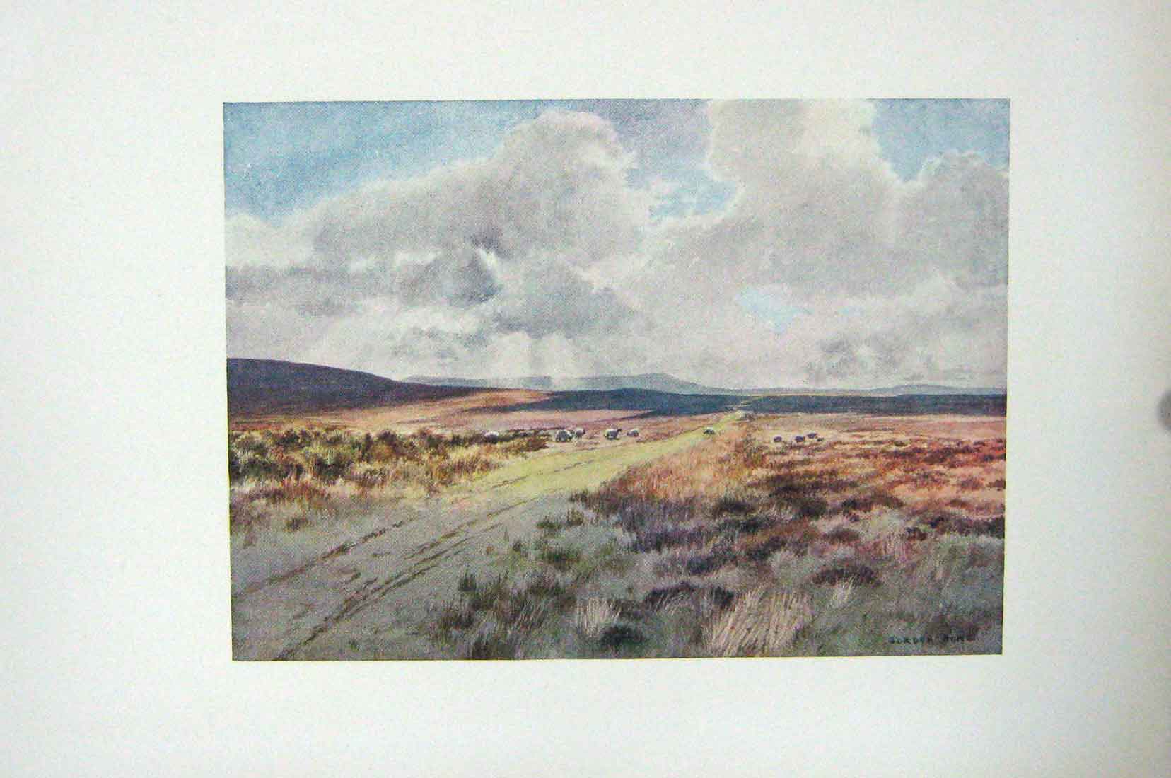 Original Old Antique Print Colour Downhole Moor Swaledale England