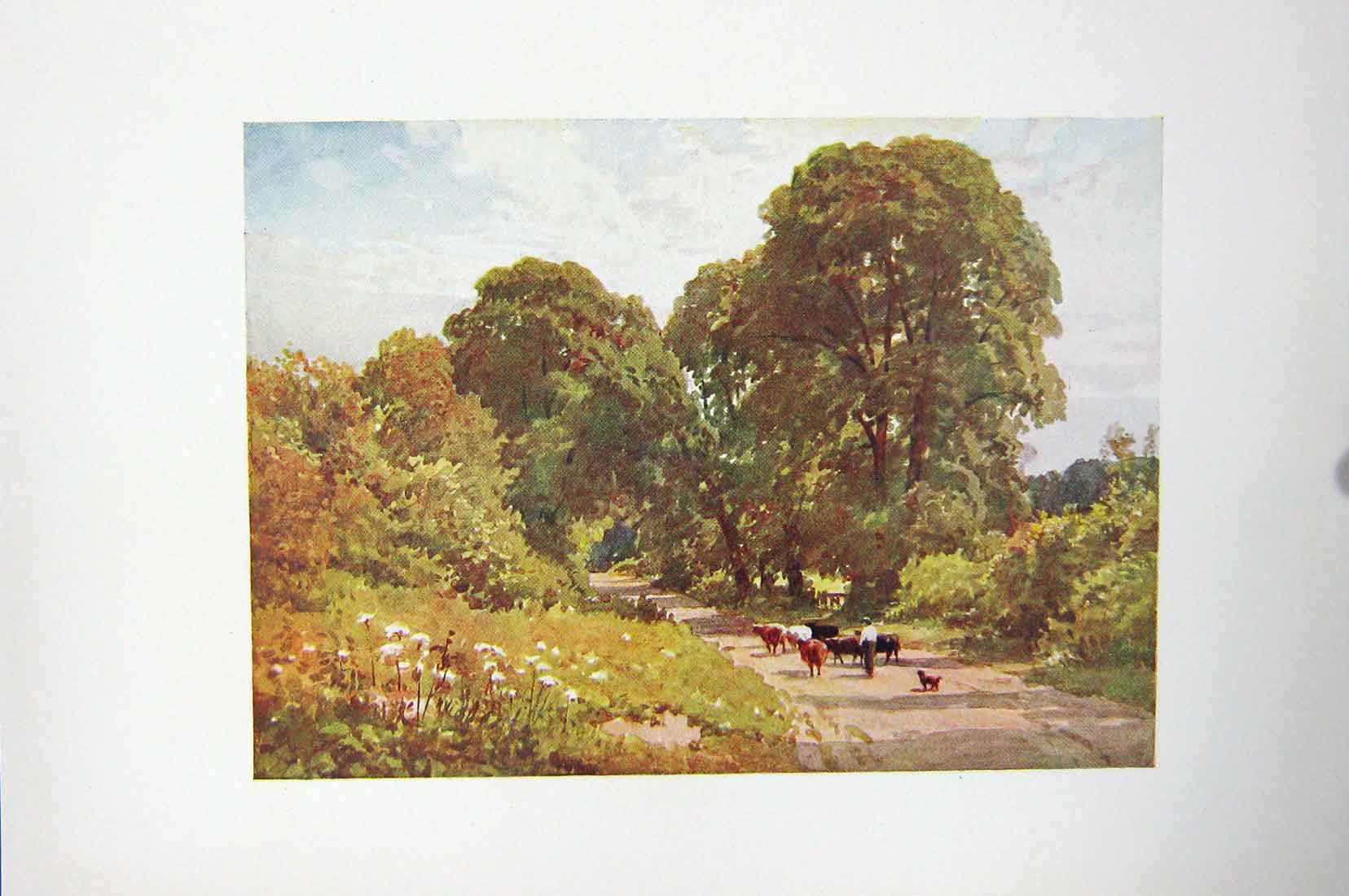 Original Old Antique Print Colour Scene Buckinghamshire Road Cows Trees