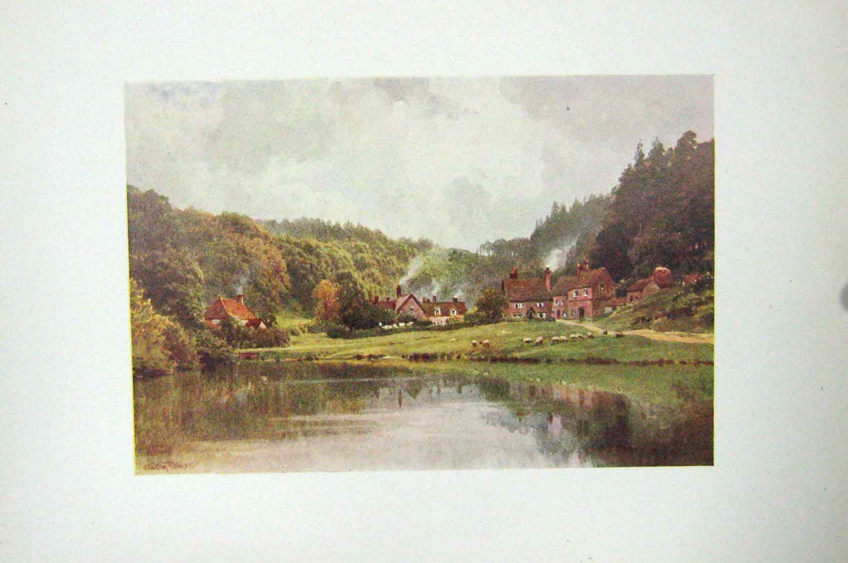 Original Old Antique Print Colour Friday Street Leith Hill Houses Sheep Lake