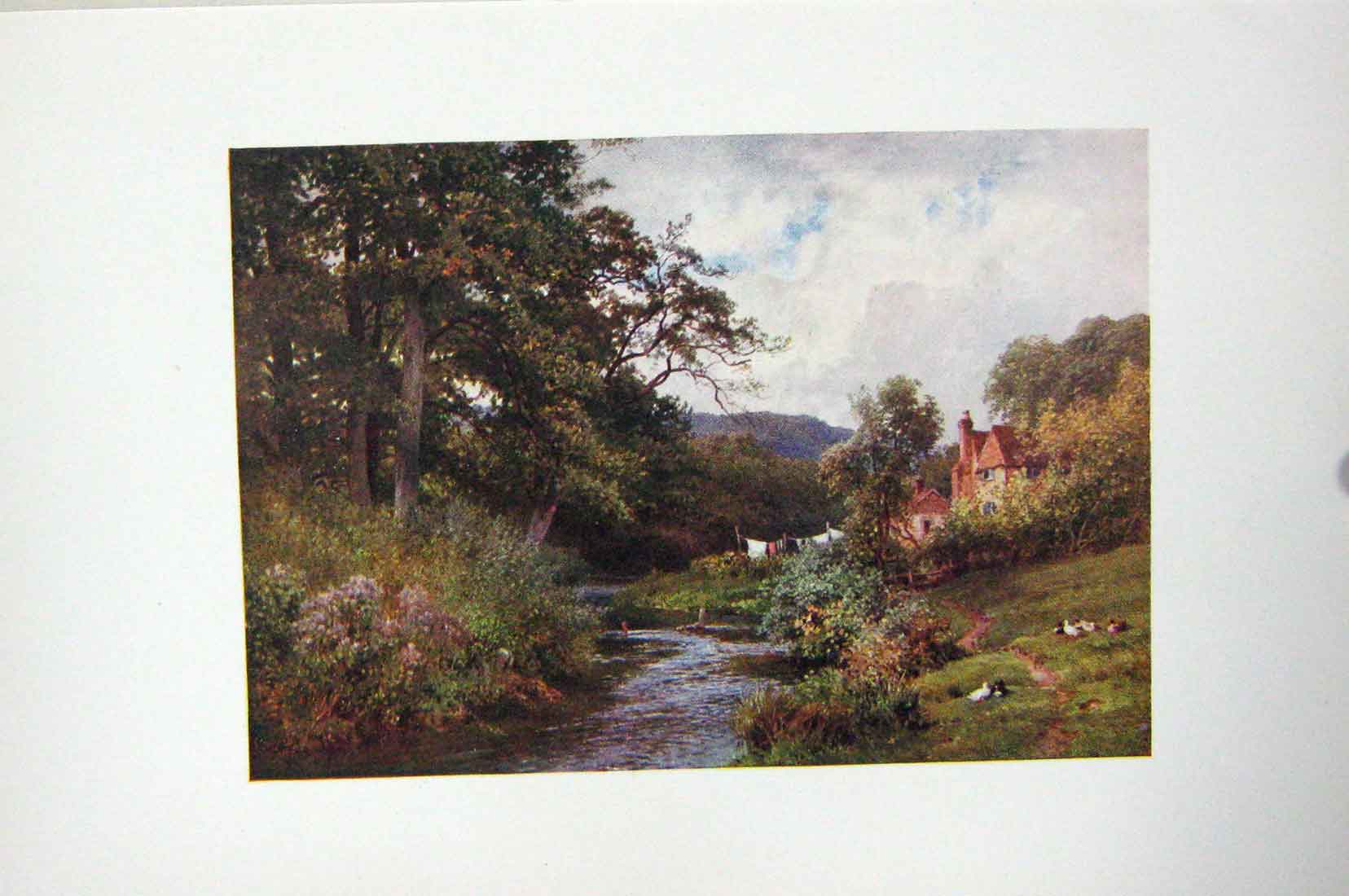 Original Old Antique Print Colour Stream Shalford House Ducks Trees Country