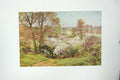 Original Old Antique Print Colour Spring Foliage Trees Blossom House