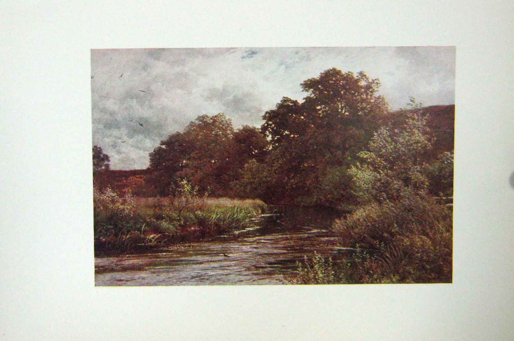 Original Old Antique Print Colour Wey Hankley Common Tilford Lake Trees