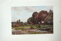 Original Old Antique Print Colour Corner Esher Common Trees England