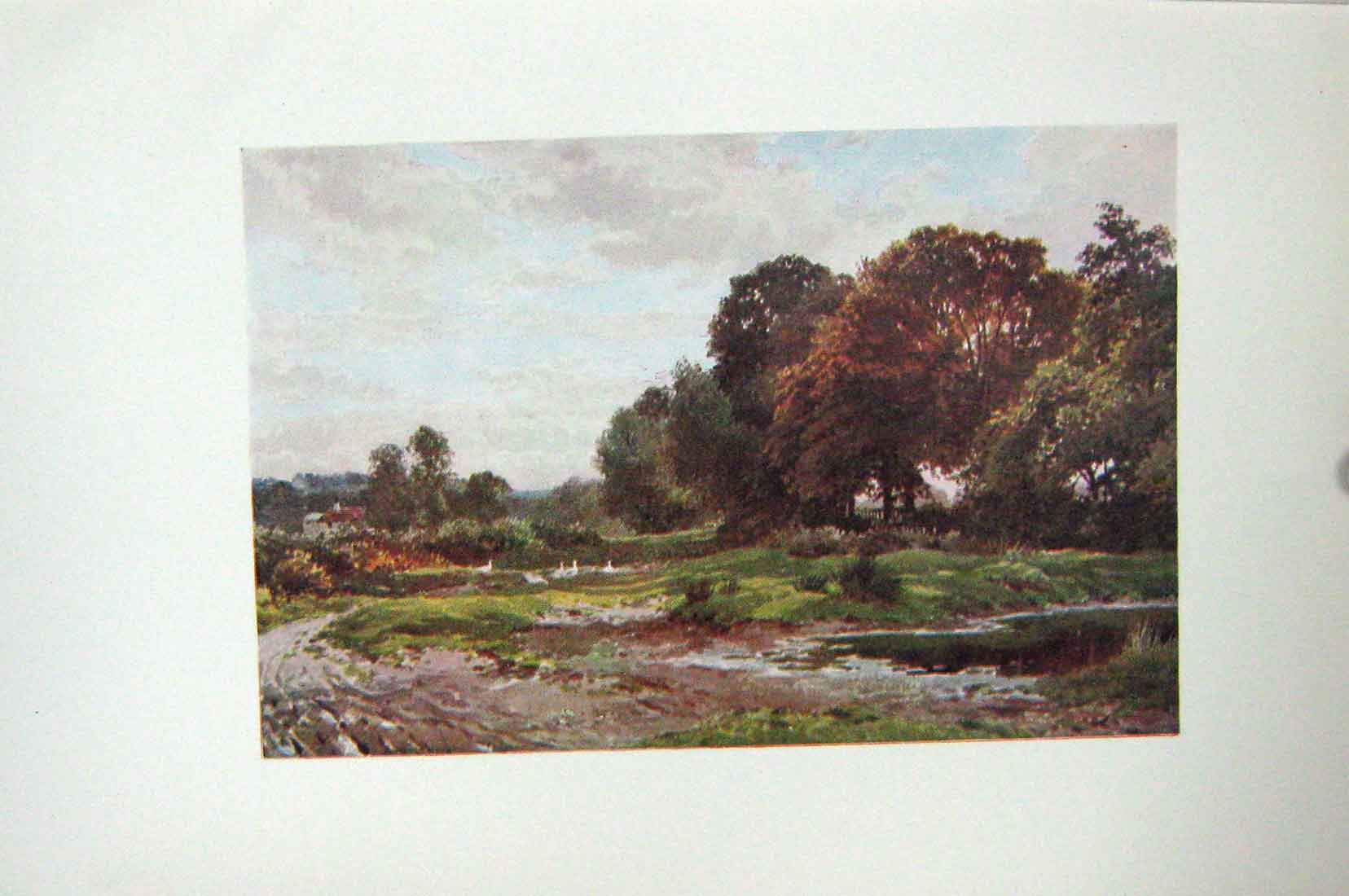 Original Old Antique Print Colour Corner Esher Common Trees England