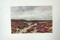 Original Old Antique Print Colour View Fresham Common Heather Hills