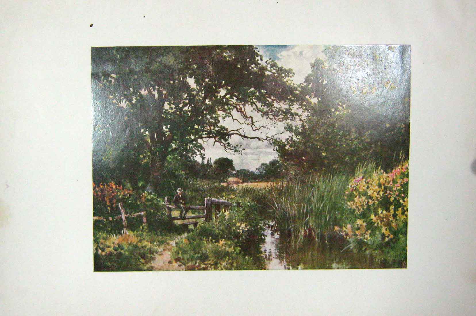 Original Old Antique Print Colour View Chobham Man Fishing River Trees