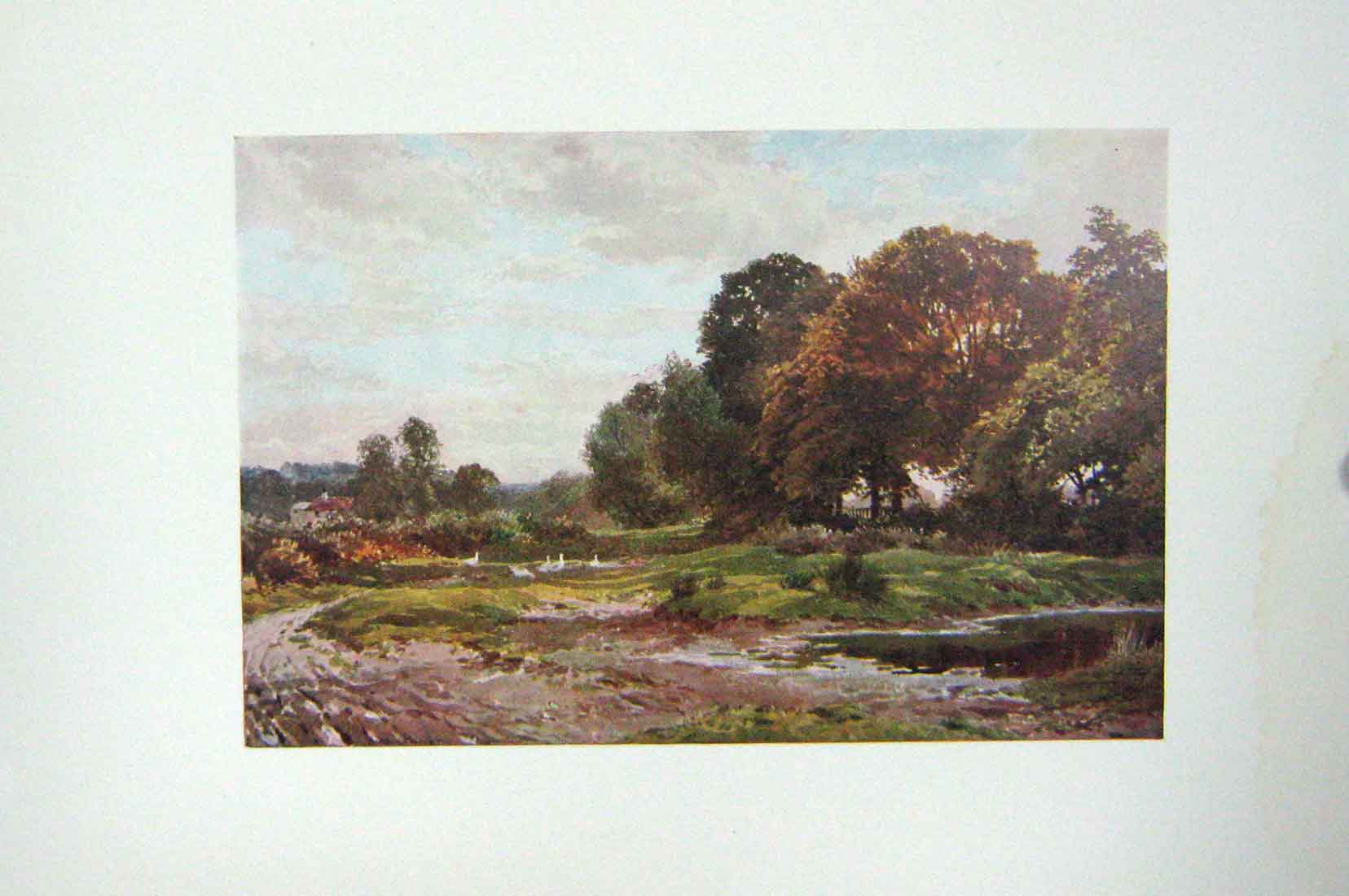 Original Old Antique Print *897 Colour Corner Esher Common Trees England