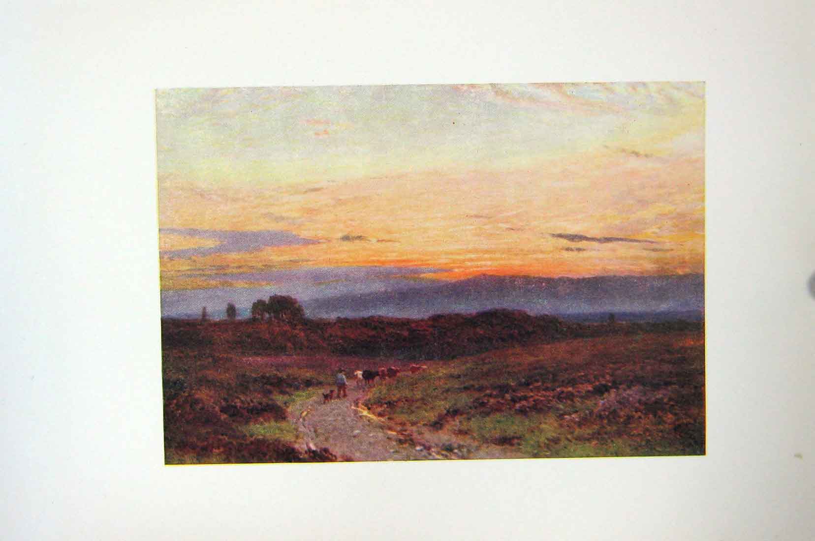 Original Old Antique Print Colour Summer'S Eve Milford Common Sunrise