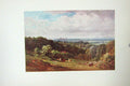 Original Old Antique Print Colour Windsor Castle Cooper'S Hill Egham Cows